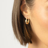 Ani Earrings - Gold